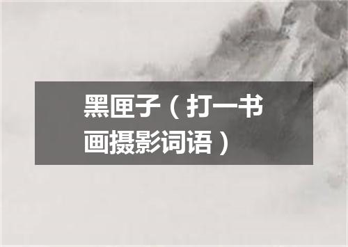 黑匣子（打一书画摄影词语）