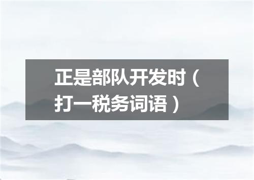 正是部队开发时（打一税务词语）