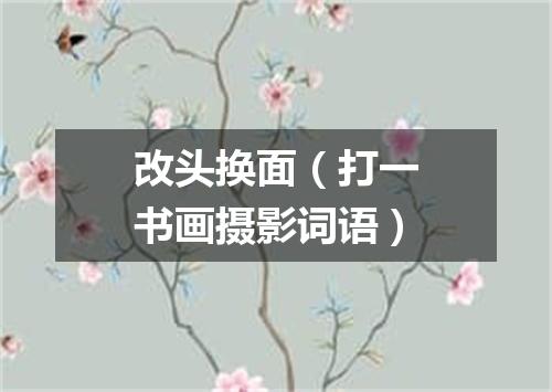 改头换面（打一书画摄影词语）