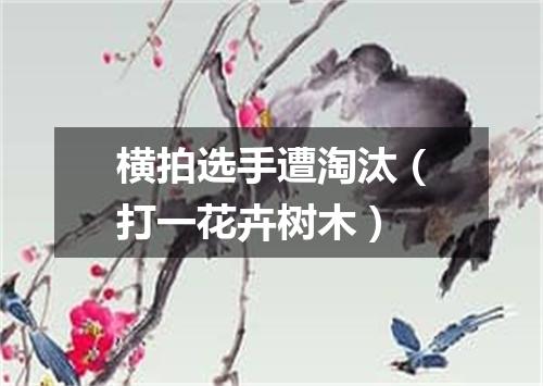 横拍选手遭淘汰（打一花卉树木）