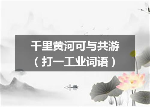 千里黄河可与共游（打一工业词语）