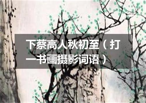 下蔡高人秋初至（打一书画摄影词语）