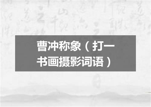 曹冲称象（打一书画摄影词语）