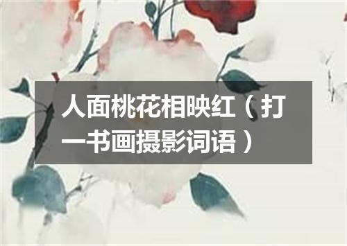 人面桃花相映红（打一书画摄影词语）