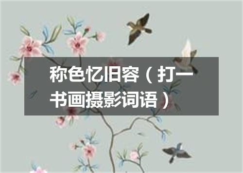 称色忆旧容（打一书画摄影词语）