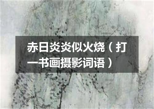 赤日炎炎似火烧（打一书画摄影词语）