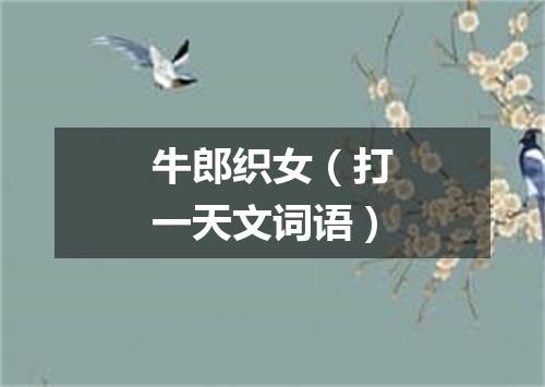 牛郎织女（打一天文词语）