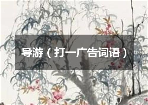 导游（打一广告词语）