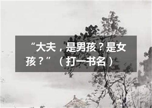 “大夫，是男孩？是女孩？”（打一书名）