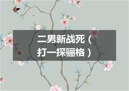 二男新战死（打一探骊格）