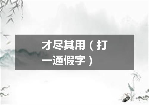 才尽其用（打一通假字）