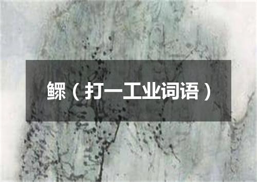 鳏（打一工业词语）