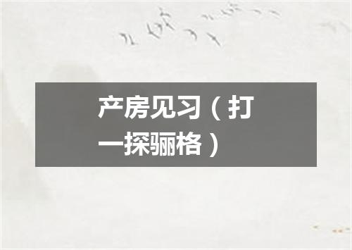 产房见习（打一探骊格）