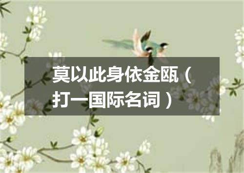 莫以此身依金瓯（打一国际名词）