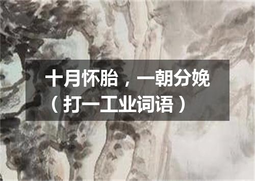 十月怀胎，一朝分娩（打一工业词语）
