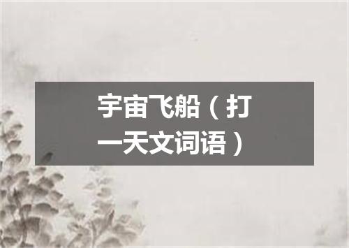 宇宙飞船（打一天文词语）