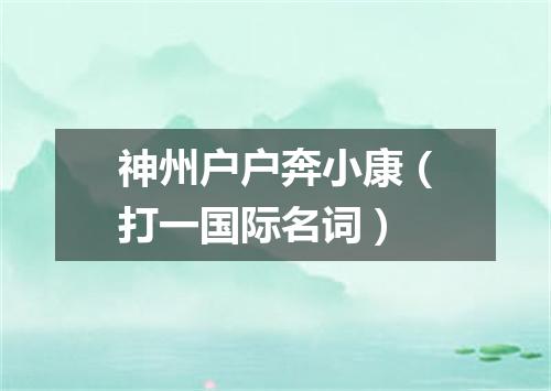 神州户户奔小康（打一国际名词）