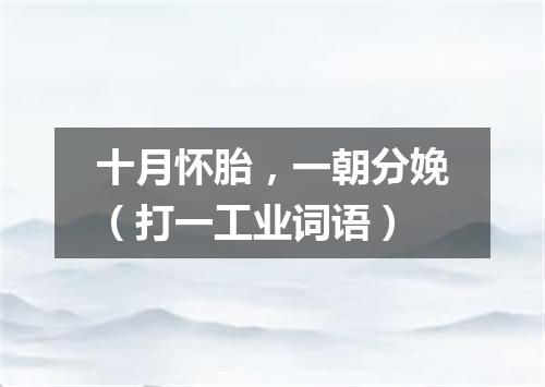 十月怀胎，一朝分娩（打一工业词语）