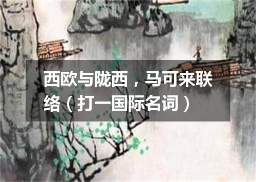 西欧与陇西，马可来联络（打一国际名词）