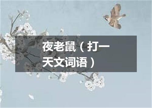 夜老鼠（打一天文词语）