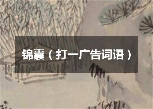 锦囊（打一广告词语）