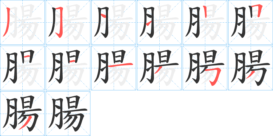 腸的笔画顺序字笔顺的正确写法图