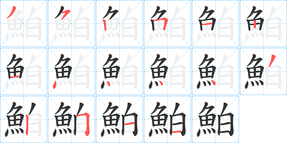 鮊的笔画顺序字笔顺的正确写法图